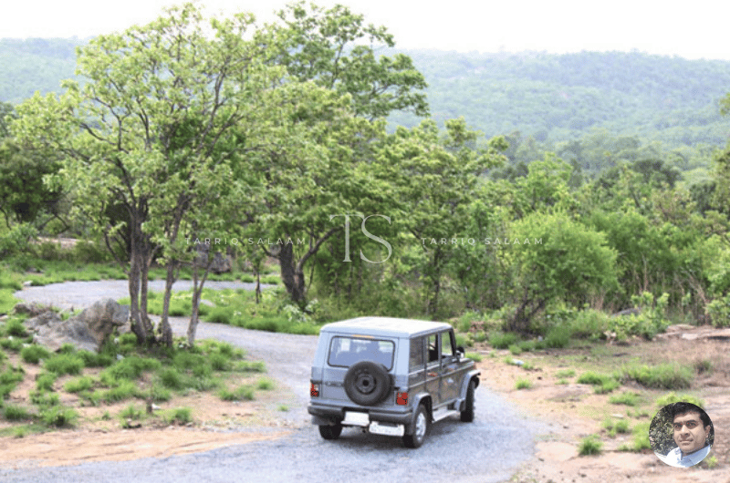 Bannerghatta National Park Safari