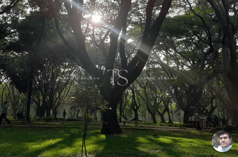 Cubbon Park, Bangalore