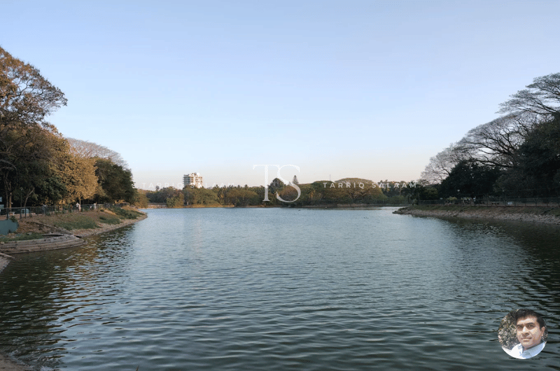 Lalbagh Botanical Garden, Lalbagh Lake