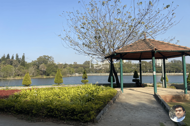 Sankey Tank: A Serene Escape in the Heart of Bangalore 2 Sankey Tank Bangalore