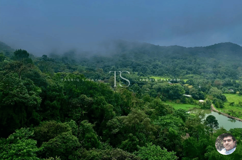 Short Escapes from Bangalore, Coorg, Madikeri