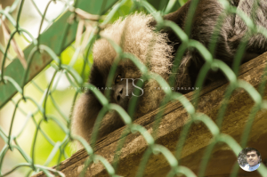 Bannerghatta National Park Bangalore