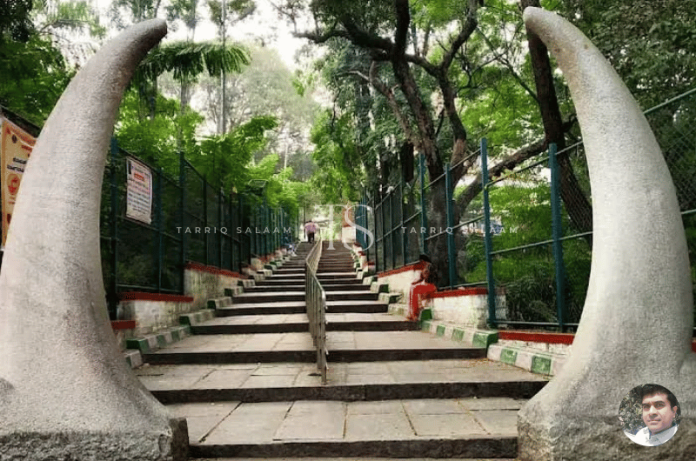 Bugle Rock Park, Bangalore