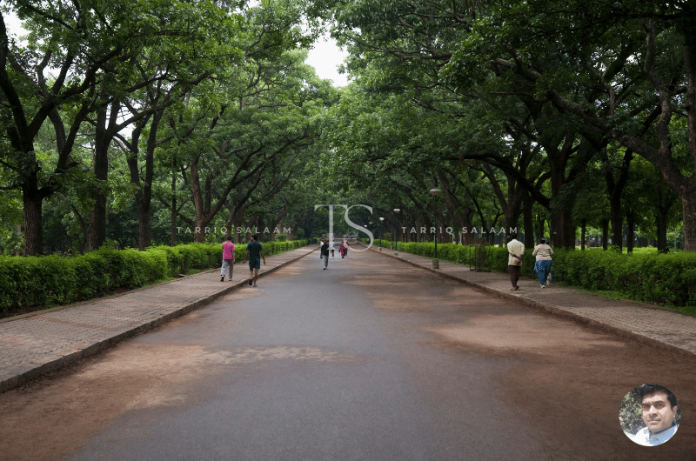 Cubbon Park Bangalore