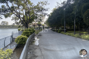 Sankey Tank: A Serene Escape in the Heart of Bangalore 7 Sankey Tank Bangalore