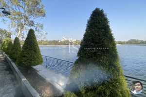 Sankey Tank: A Serene Escape in the Heart of Bangalore 9 Sankey Tank Bangalore