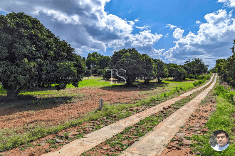 Available Farm Plots at Hosachiguru