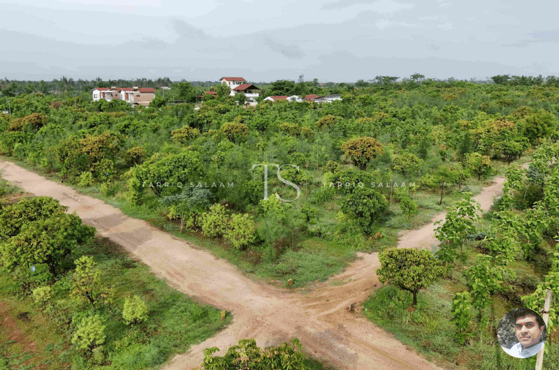 Hosachiguru Farms