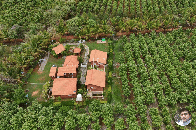 Managed Farmlands vs Standalone Farms