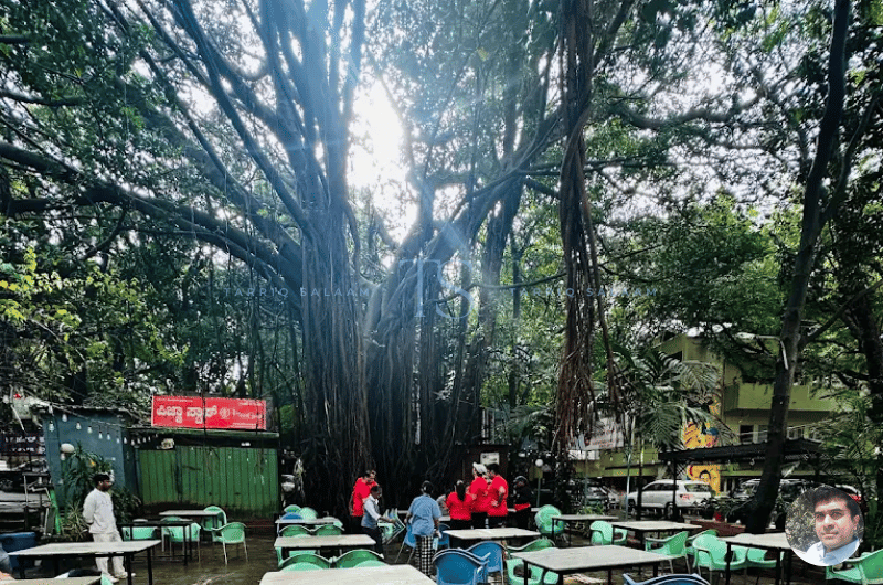 The Vibe at Airlines Hotel Bangalore, Lavelle Road