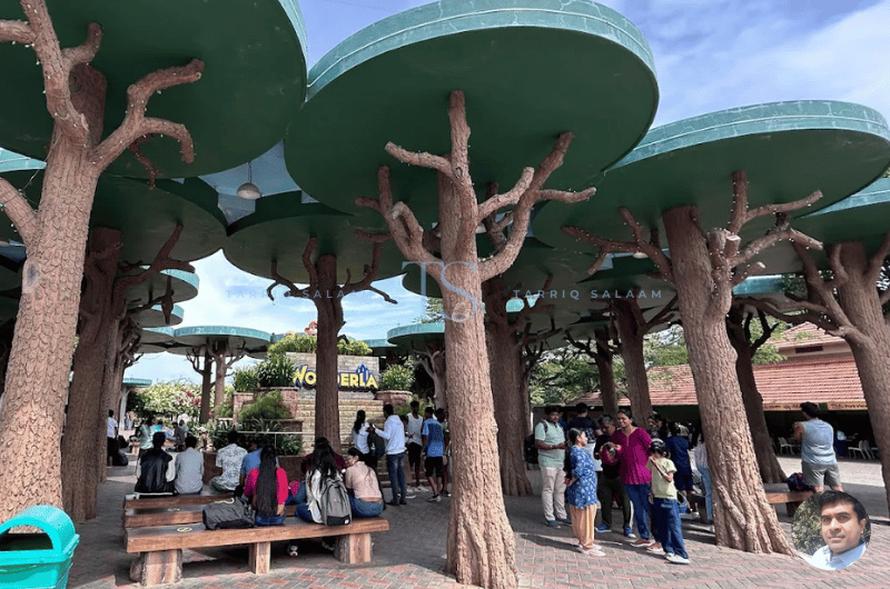 Wonderla: My Day of Screams, Smiles & Slight Regret (From Too Many Rides) 7 Facilities at Wonderla Bangalore