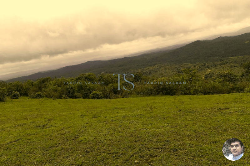 Sakleshpur: My Cheeky Coffee-Powered Hill Station Adventure 3 Weather in Sakleshpur