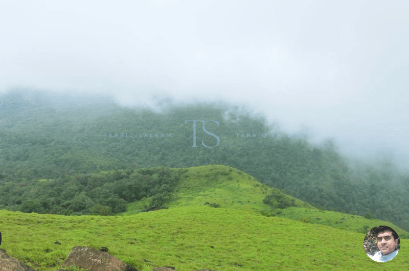 Sakleshpur: My Cheeky Coffee-Powered Hill Station Adventure 5 Where to Stay in Sakleshpur