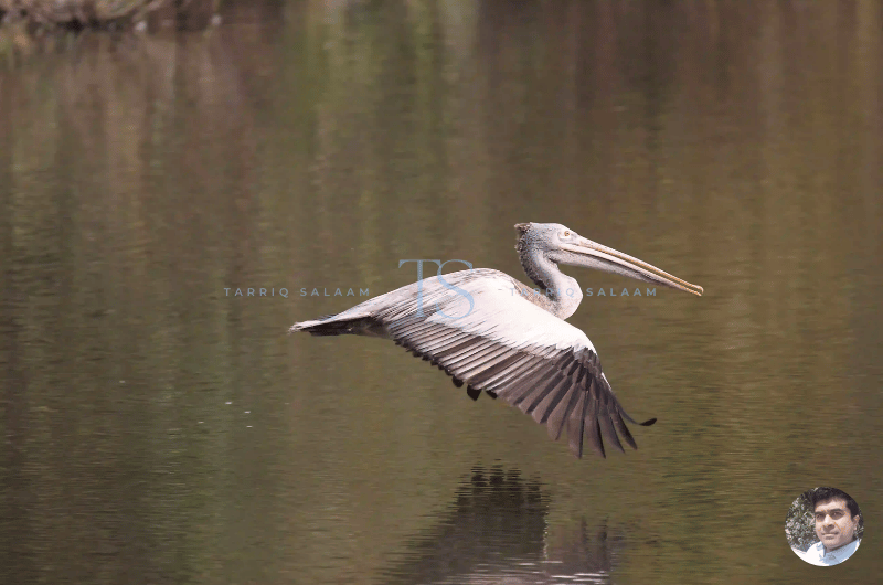 Nearby Places to Ranganathittu Bird Sanctuary That You Can Visit
