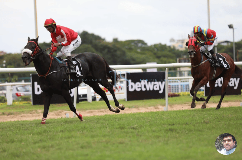 Bangalore Turf Club: My Day at Bengaluru’s Most Glamorous Racecourse 11 Racing Horses at the Bangalore Turf Club