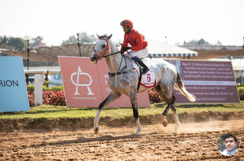 Bangalore Turf Club: My Day at Bengaluru’s Most Glamorous Racecourse 6 The Horses at Bangalore Turf Club