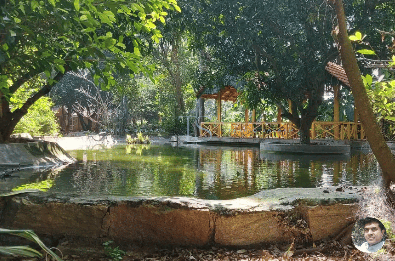 The School of Ancient Wisdom, Devanahalli, Bangalore