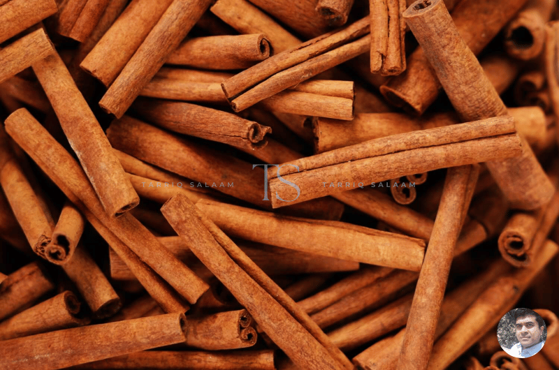 Indfrag Biosciences: Where Nature Meets Science (And Smells Amazing Doing It) 9 Why Indfrag Biosciences Stands Out